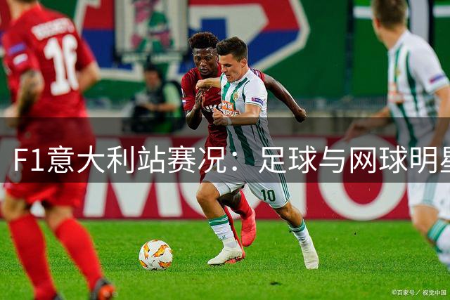 F1意大利站赛况：足球与网球明星齐聚蒙扎赛道